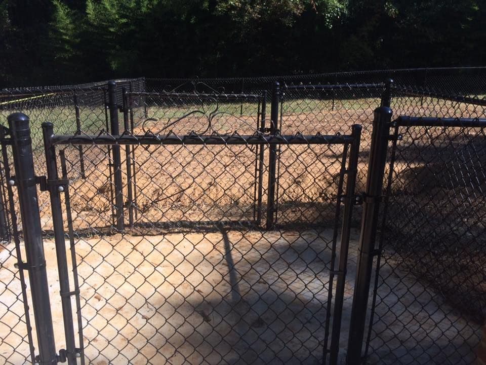 Black chain-link double gate enclosing a yard by Advanced Custom Fence in Charlotte, NC